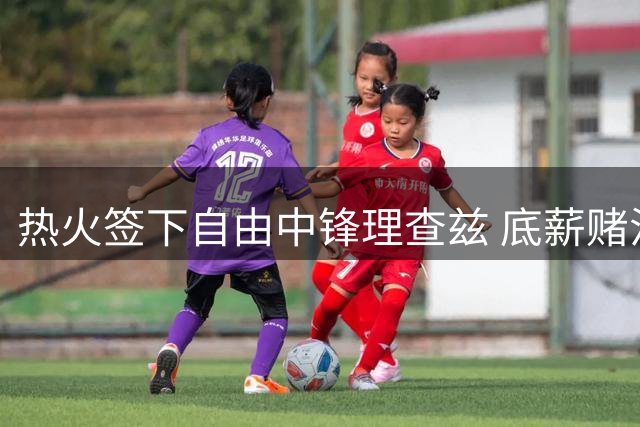 热火签下自由中锋理查兹 底薪赌注能否收奇效？