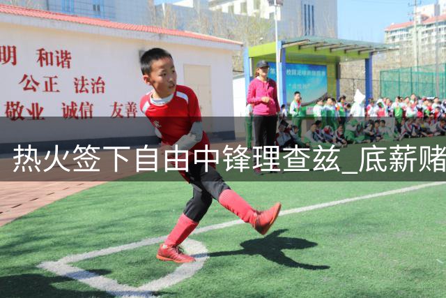 热火签下自由中锋理查兹 底薪赌注能否收奇效？